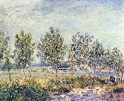 Alfred Sisley Wiese in By china oil painting artist